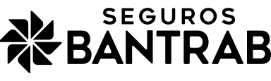 Aseguradora