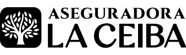 Aseguradora